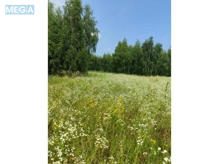 Продажа участка, 1&nbsp;689,42&nbsp;соток, земля сельскохозяйственного назначения, <a class="location-link" href="/ozera-selo-kv/" title="Недвижимость Озера">Озера</a>, Нова (изображение 3)