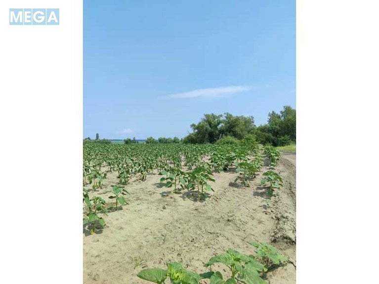 Продажа участка, 1&nbsp;689,42&nbsp;соток, земля сельскохозяйственного назначения, <a class="location-link" href="/ozera-selo-kv/" title="Недвижимость Озера">Озера</a>, Нова (изображение 6)