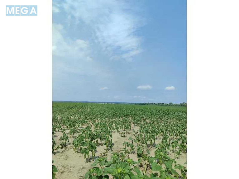 Продажа участка, 1&nbsp;689,42&nbsp;соток, земля сельскохозяйственного назначения, <a class="location-link" href="/ozera-selo-kv/" title="Недвижимость Озера">Озера</a>, Нова (изображение 9)