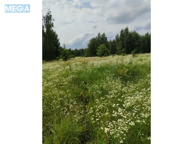 Продажа участка, 1&nbsp;689,42&nbsp;соток, земля сельскохозяйственного назначения, <a class="location-link" href="/ozera-selo-kv/" title="Недвижимость Озера">Озера</a>, Нова (изображение 12)