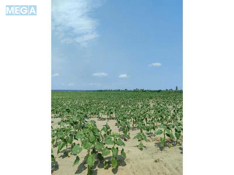 Продажа участка, 1&nbsp;689,42&nbsp;соток, земля сельскохозяйственного назначения, <a class="location-link" href="/ozera-selo-kv/" title="Недвижимость Озера">Озера</a>, Нова (изображение 14)