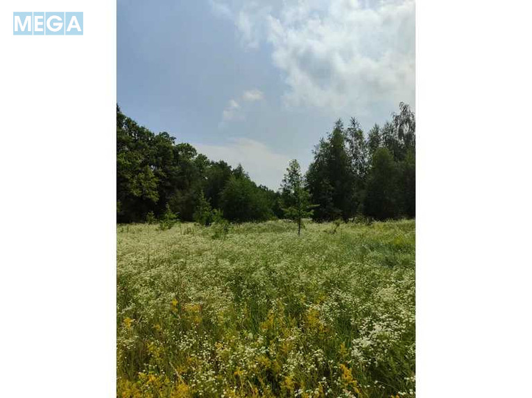 Продажа участка, 1&nbsp;689,42&nbsp;соток, земля сельскохозяйственного назначения, <a class="location-link" href="/ozera-selo-kv/" title="Недвижимость Озера">Озера</a>, Нова (изображение 15)