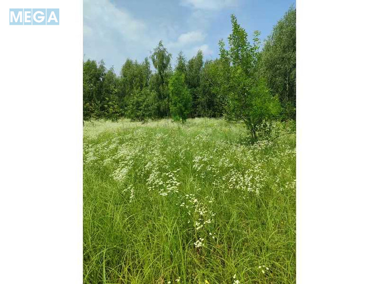 Продажа участка, 1&nbsp;689,42&nbsp;соток, земля сельскохозяйственного назначения, <a class="location-link" href="/ozera-selo-kv/" title="Недвижимость Озера">Озера</a>, Нова (изображение 18)