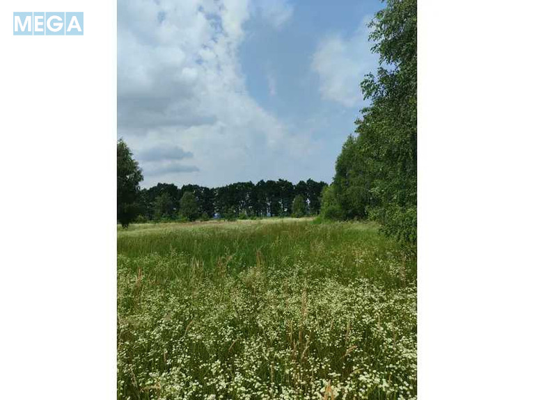 Продажа участка, 1&nbsp;689,42&nbsp;соток, земля сельскохозяйственного назначения, <a class="location-link" href="/ozera-selo-kv/" title="Недвижимость Озера">Озера</a>, Нова (изображение 23)