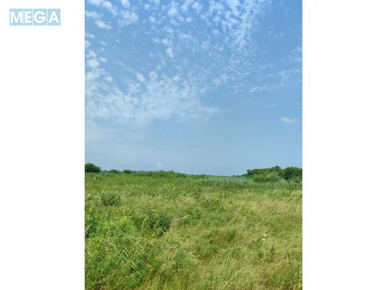 Продажа участка, 2&nbsp;152,23&nbsp;сотки, земля сельскохозяйственного назначения, <a class="location-link" href="/ozera-selo-kv/" title="Недвижимость Озера">Озера</a>, Нова (изображение 2)