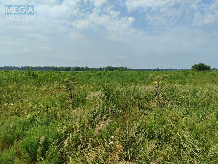 Продажа участка, 2&nbsp;152,23&nbsp;сотки, земля сельскохозяйственного назначения, <a class="location-link" href="/ozera-selo-kv/" title="Недвижимость Озера">Озера</a>, Нова (изображение 4)