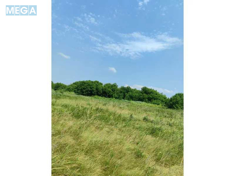 Продажа участка, 2&nbsp;152,23&nbsp;сотки, земля сельскохозяйственного назначения, <a class="location-link" href="/ozera-selo-kv/" title="Недвижимость Озера">Озера</a>, Нова (изображение 5)