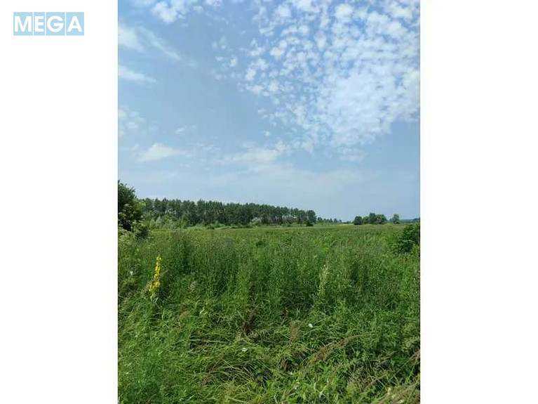 Продажа участка, 2&nbsp;152,23&nbsp;сотки, земля сельскохозяйственного назначения, <a class="location-link" href="/ozera-selo-kv/" title="Недвижимость Озера">Озера</a>, Нова (изображение 9)