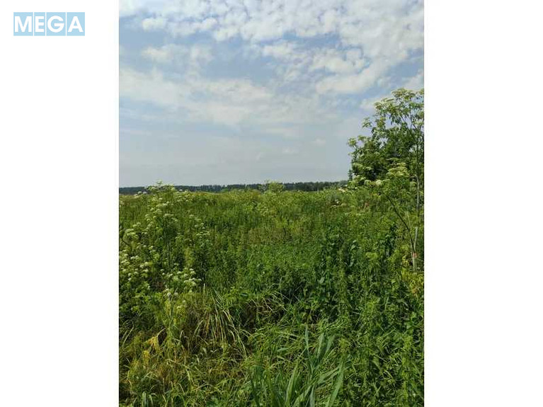 Продажа участка, 2&nbsp;152,23&nbsp;сотки, земля сельскохозяйственного назначения, <a class="location-link" href="/ozera-selo-kv/" title="Недвижимость Озера">Озера</a>, Нова (изображение 11)