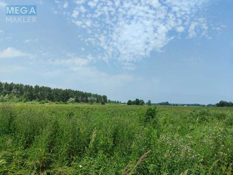 Продажа участка, 2&nbsp;152,23&nbsp;сотки, земля сельскохозяйственного назначения, <a class="location-link" href="/ozera-selo-kv/" title="Недвижимость Озера">Озера</a>, Нова (изображение 18)