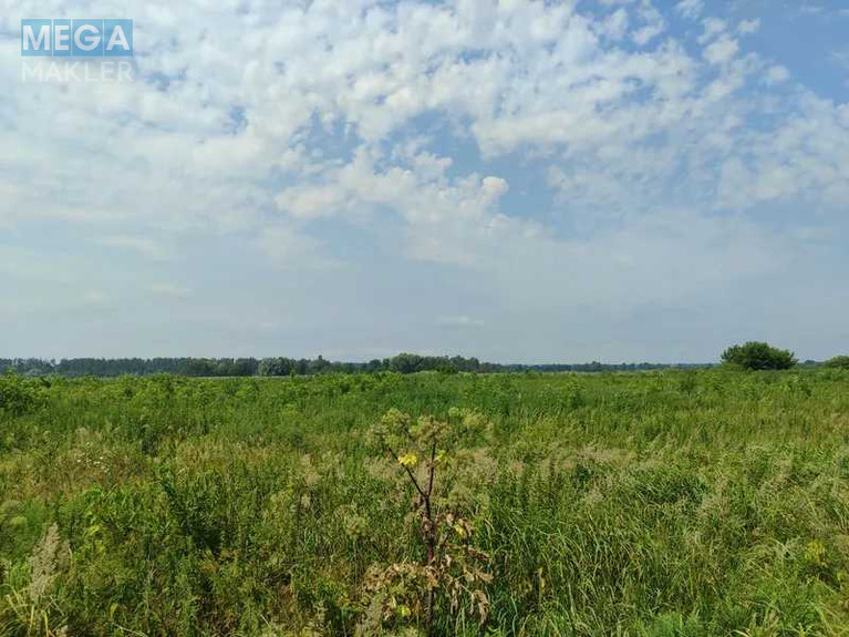 Продажа участка, 2&nbsp;152,23&nbsp;сотки, земля сельскохозяйственного назначения, <a class="location-link" href="/ozera-selo-kv/" title="Недвижимость Озера">Озера</a>, Нова (изображение 24)