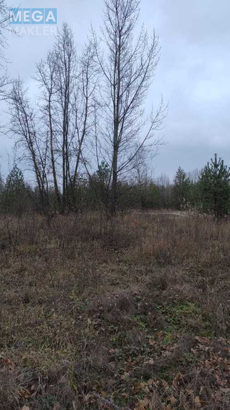 Продажа участка, 25 соток, участок под жилую застройку, <a class="location-link" href="/plyuty/" title="Недвижимость Плюті">Плюти</a>, Будівельників (изображение 4)