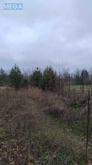 Продажа участка, 25 соток, участок под жилую застройку, <a class="location-link" href="/plyuty/" title="Недвижимость Плюті">Плюти</a>, Будівельників (изображение 6)