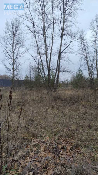 Продажа участка, 25 соток, участок под жилую застройку, <a class="location-link" href="/plyuty/" title="Недвижимость Плюті">Плюти</a>, Будівельників (изображение 8)