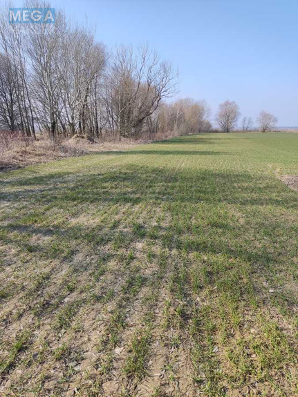 Продажа участка, 169 соток, земля сельскохозяйственного назначения, <a class="location-link" href="/voronkov/" title="Недвижимость Вороньків">Вороньків</a>, Вороньківська с/р (изображение 2)