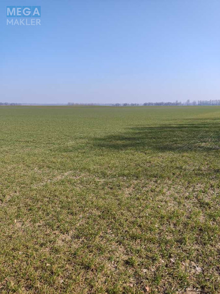 Продажа участка, 169 соток, земля сельскохозяйственного назначения, <a class="location-link" href="/voronkov/" title="Недвижимость Вороньків">Вороньків</a>, Вороньківська с/р (изображение 3)