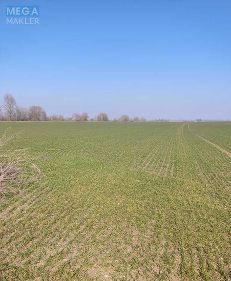 Продажа участка, 169 соток, земля сельскохозяйственного назначения, <a class="location-link" href="/voronkov/" title="Недвижимость Вороньків">Вороньків</a>, Вороньківська с/р (изображение 4)