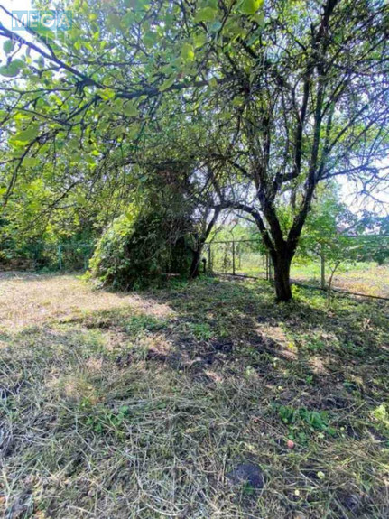 Продажа участка, 6&nbsp;соток, участок под жилую застройку, <a class="location-link" href="/blistavica/" title="Недвижимость Блиставиця">Блиставиця</a>, 10-а Садова (изображение 8)