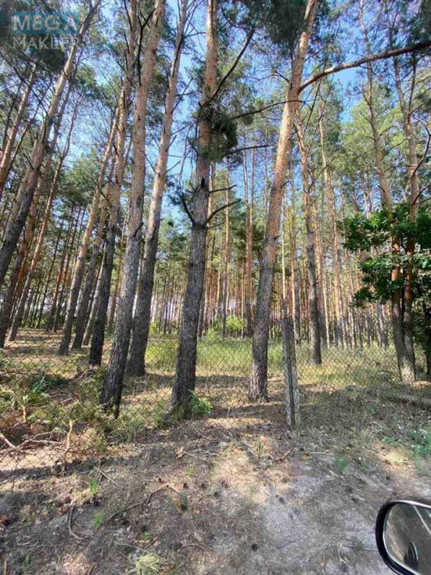 Продажа участка, 6&nbsp;соток, участок под жилую застройку, <a class="location-link" href="/blistavica/" title="Недвижимость Блиставиця">Блиставиця</a>, 10-а Садова (изображение 15)