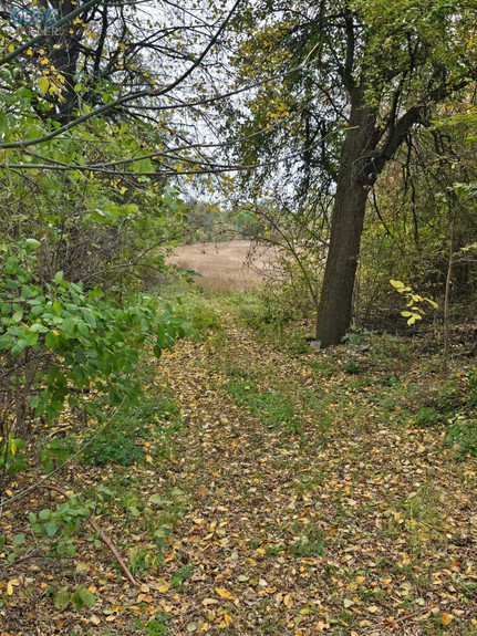 Продаж дома, 1 поверх, 56 кв.м, 2 кімнати, ділянка 34 сотки, <a class="location-link" href="/dovgalovskoe/" title="Недвижимость Довгалівське">Довгалівське</a>, Централна (изображение 14)