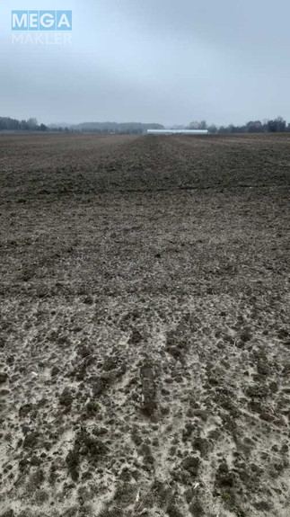 Продажа участка, 200 соток, земля сельскохозяйственного назначения, <a class="location-link" href="/voronkov/" title="Недвижимость Вороньків">Вороньків</a>, Вороньківська с/р (изображение 4)