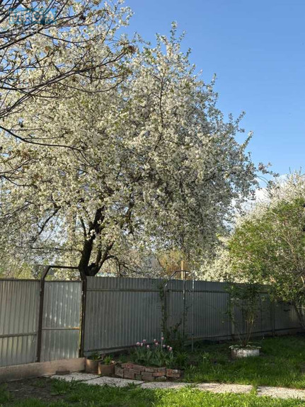 Продаж дома, 1 поверх, 54 кв.м, 4 кімнати, ділянка 52 сотки, <a class="location-link" href="/kalinovka-selo-cn/" title="Недвижимость Калинівка">Калинівка</a>, Тракторна, 69 (изображение 2)