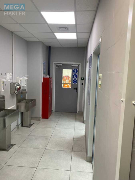 Продаж комплексу будівель та споруд, 5 200 кв.м, под производство, <a class="location-link" href="/velikaya-dymerka/" title="Недвижимость Велика Дімерка">Велика Димерка</a>, Броварська (изображение 3)