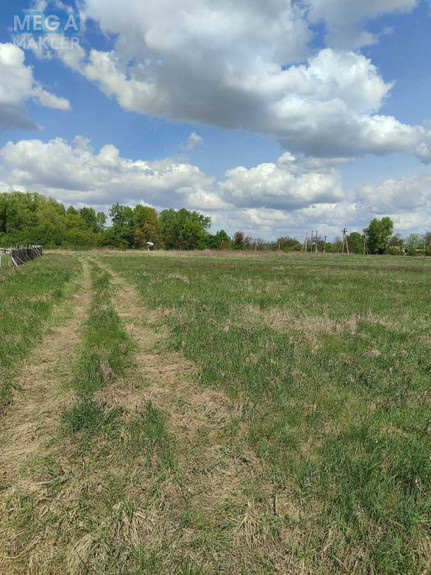 Продажа участка, 28,32 соток, земля сельскохозяйственного назначения, <a class="location-link" href="/grebelki/" title="Недвижимость Гребельки">Гребельки</a>, нова (изображение 3)