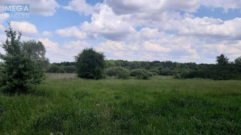 Продажа участка, 200&nbsp;соток, земля сельскохозяйственного назначения, <a class="location-link" href="/golovurov/" title="Недвижимость Головурів">Головурів</a>, Головурів (изображение 5)