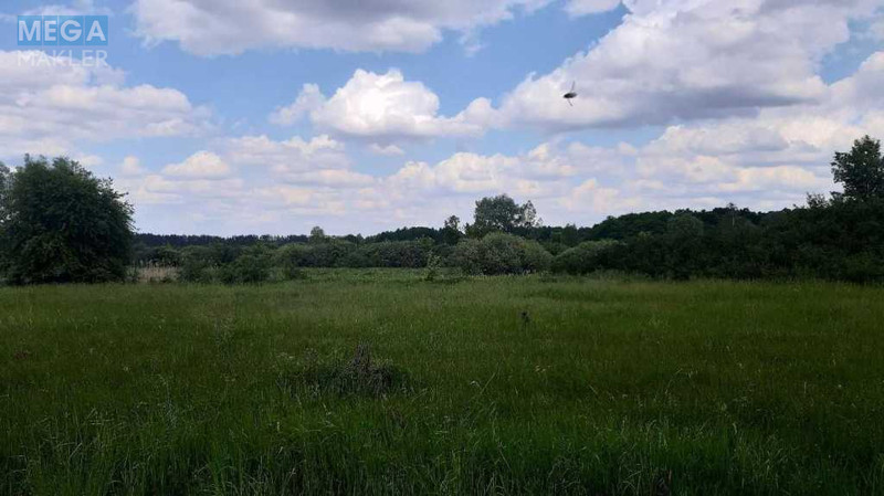 Продажа участка, 200&nbsp;соток, земля сельскохозяйственного назначения, <a class="location-link" href="/golovurov/" title="Недвижимость Головурів">Головурів</a>, Головурів (изображение 6)