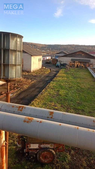 Продаж комплексу будівель та споруд, 3&nbsp;600&nbsp;кв.м, под производство, <a class="location-link" href="/stopchatov/" title="Недвижимость Стопчатів">Стопчатів</a>, Центральна, 1 (изображение 5)