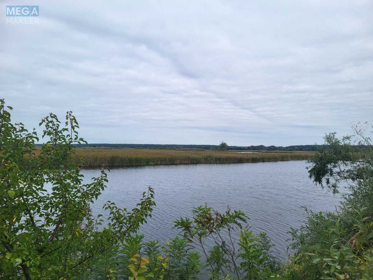 Продажа участка, 200&nbsp;соток, земля сельскохозяйственного назначения, <a class="location-link" href="/voronkov/" title="Недвижимость Вороньків">Вороньків</a>, б/н (изображение 2)