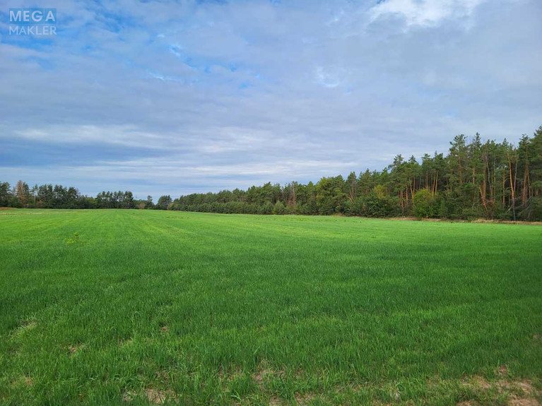 Продажа участка, 200&nbsp;соток, земля сельскохозяйственного назначения, <a class="location-link" href="/voronkov/" title="Недвижимость Вороньків">Вороньків</a>, б/н (изображение 4)