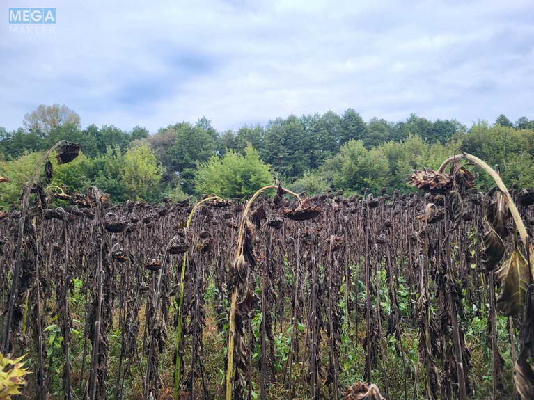 Продажа участка, 12&nbsp;соток, земля сельскохозяйственного назначения, <a class="location-link" href="/golovurov/" title="Недвижимость Головурів">Головурів</a>, б/н (изображение 2)