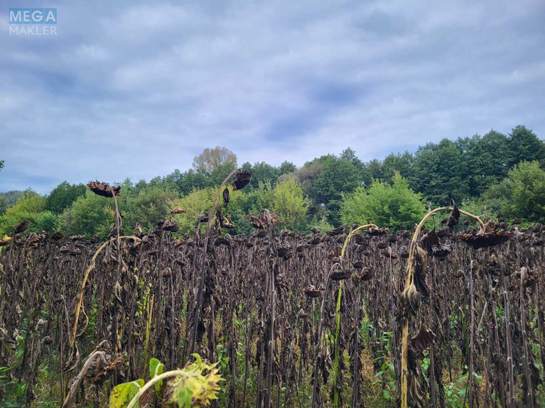 Продажа участка, 12&nbsp;соток, земля сельскохозяйственного назначения, <a class="location-link" href="/golovurov/" title="Недвижимость Головурів">Головурів</a>, б/н (изображение 3)