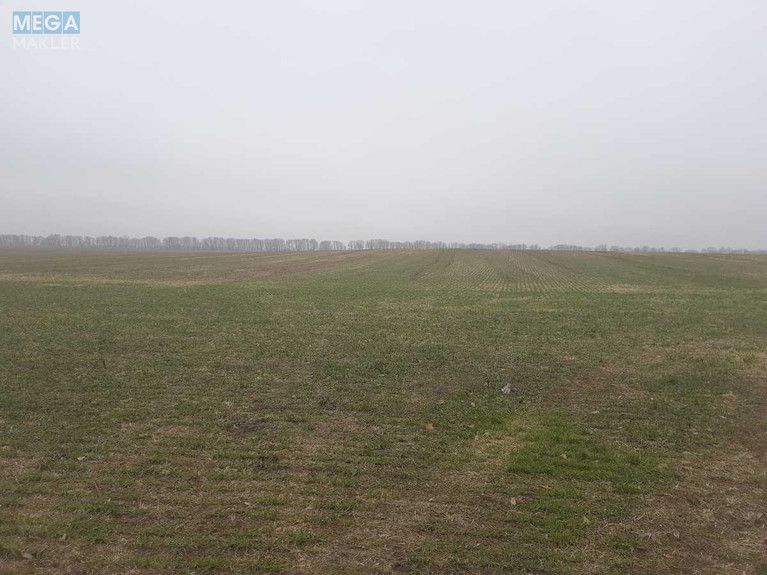 Продажа участка, 149&nbsp;соток, земля сельскохозяйственного назначения, <a class="location-link" href="/voronkov/" title="Недвижимость Вороньків">Вороньків</a>, Вороньківська с/р (изображение 3)