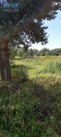 Продажа участка, 800 соток, земля сельскохозяйственного назначения, <a class="location-link" href="/oster/" title="Недвижимость Остер">Остер</a>, Одинця (изображение 4)