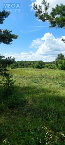 Продажа участка, 800 соток, земля сельскохозяйственного назначения, <a class="location-link" href="/oster/" title="Недвижимость Остер">Остер</a>, Одинця (изображение 6)