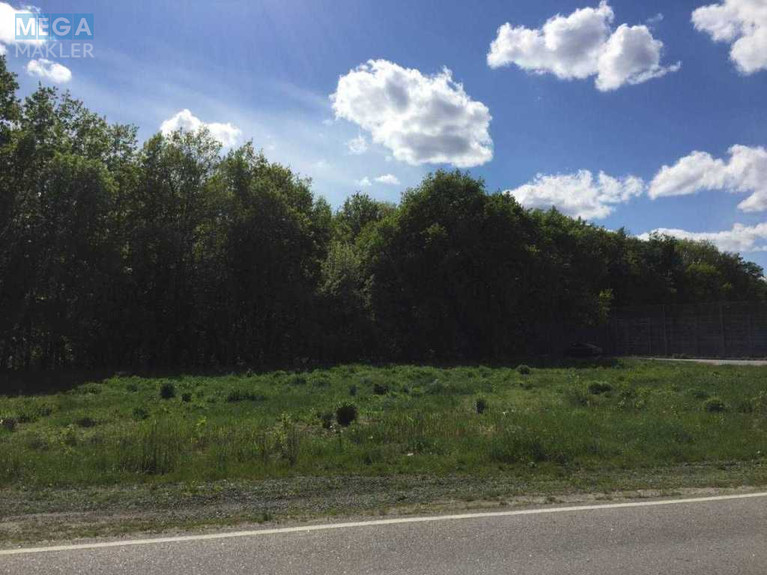 Продажа участка, 45&nbsp;соток, участок под жилую застройку, <a class="location-link" href="/vysokij/" title="Недвижимость Високий">Високий</a>, Футбольна (изображение 4)