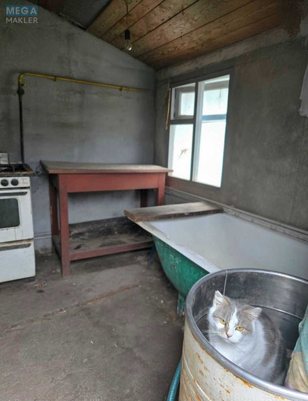 Продаж дома, 1 поверх, 49 кв.м, 3 кімнати, ділянка 56 соток, <a class="location-link" href="/samgorodok-selo/" title="Недвижимость Самгородок">Самгородок</a>, Шкільна (изображение 22)