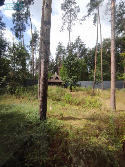 Продаж дома, 1 поверх, 275 кв.м, 4 кімнати, ділянка 60 соток, <a class="location-link" href="/glevaha/" title="Недвижимость Глеваха">Глеваха</a>, Дубова, 1 (изображение 11)