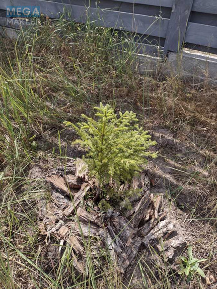 Продаж дома, 1 поверх, 125 кв.м, 4 кімнати, ділянка 7 соток, <a class="location-link" href="/bucha/" title="Недвижимость Буча">Буча</a>, Льва Симиренка (изображение 16)