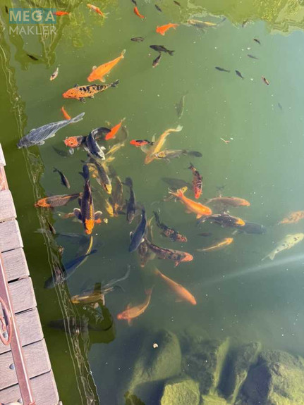 Новобудова, 4 поверхів, <a class="location-link" href="/sofievskaya-borshagovka/" title="Недвижимость Софіївська Борщагівка">Софіївська Борщагівка</a>, Відпочинку, 3 (изображение 3)