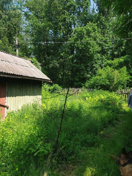 Продажа участка, 6&nbsp;соток, земля сельскохозяйственного назначения, <a class="location-link" href="/belaya-tserkov/" title="Недвижимость Біла Церква">Біла Церква</a>, Сухий Яр (изображение 3)