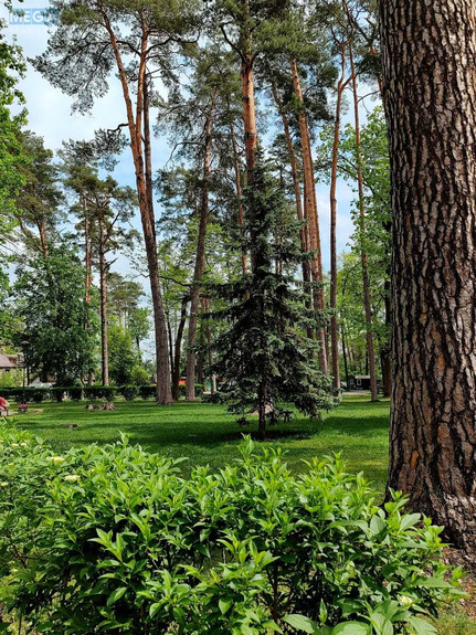 Продаж 2 кімнатної квартири (68/33,1/18,8), 11 пов. 12 пов. будинку, <a class="location-link" href="/irpen/" title="Недвижимость Ірпінь">Ірпінь</a>, Соборна, 151 (изображение 17)