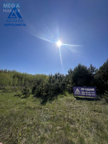 Продажа участка, 25 соток, участок под жилую застройку, <a class="location-link" href="/ohotin/" title="Недвижимость Охотін">Охотин</a>, Лісова (изображение 2)