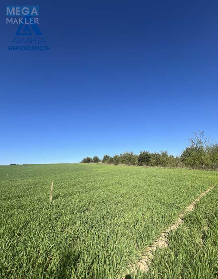 Продажа участка, 25 соток, участок под жилую застройку, <a class="location-link" href="/ohotin/" title="Недвижимость Охотін">Охотин</a>, Лісова (изображение 4)