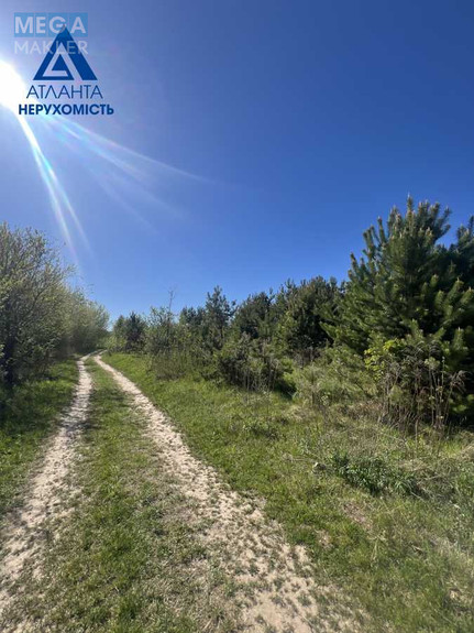 Продажа участка, 25 соток, участок под жилую застройку, <a class="location-link" href="/ohotin/" title="Недвижимость Охотін">Охотин</a>, Лісова (изображение 5)