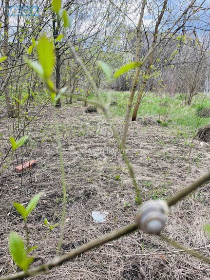Продажа участка, 12,30 соток, участок под жилую застройку, <a class="location-link" href="/kryukovshina/" title="Недвижимость Крюківщина">Крюківщина</a>, Шевченка вул. (изображение 9)