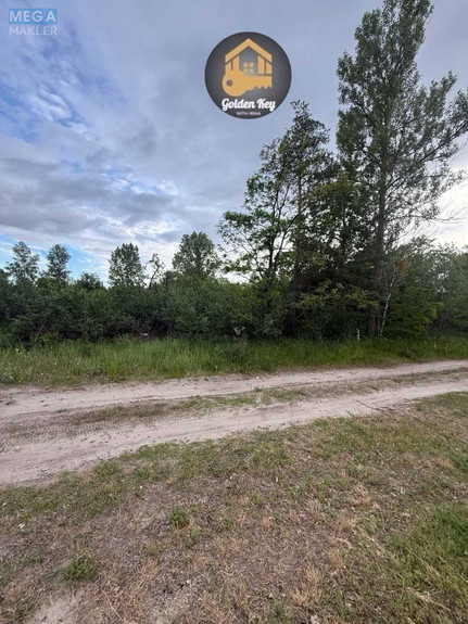 Продаж дома, 1 поверх, 75 кв.м, 2 кімнати, ділянка 41 сотка, <a class="location-link" href="/voropaev/" title="Недвижимость Воропаїв">Воропаїв</a>, Чапаєва (изображение 4)
